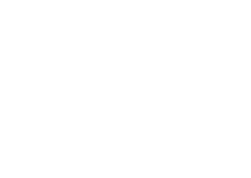 Zanini Mobili